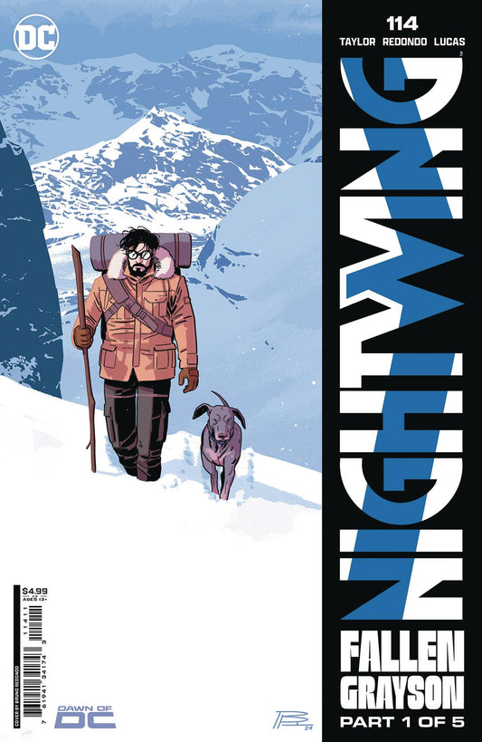 NIGHTWING #114